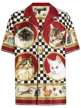 Dolce & Gabbana: Рубашка с принтом 