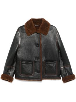 Bally: Кожаная куртка 