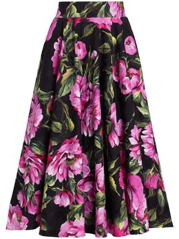 Dolce & Gabbana: Юбка  Rose с принтом