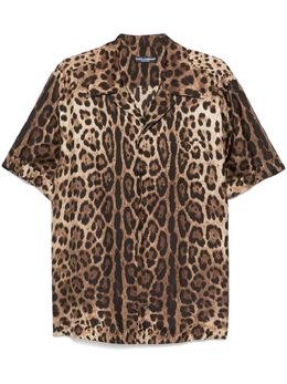 Dolce & Gabbana: Рубашка с леопардовым принтом 