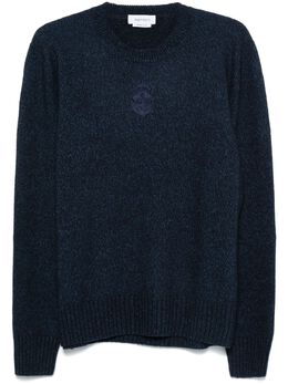Alexander McQueen: Синий свитер  Skull