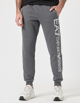EA7 EMPORIO ARMANI: Брюки 