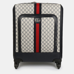 Gucci: Многоцветная сумка 