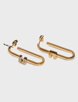 ELISABETTA FRANCHI: Серьги 