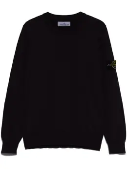 Stone Island: Тёмный свитер  Compass