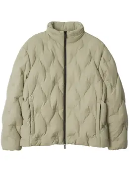Burberry: Зелёная куртка 