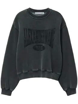 Alexander Wang: Свитшот с принтом 