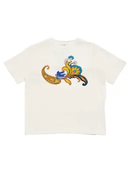 ETRO: Хлопковая футболка 