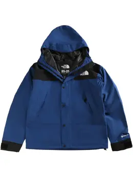 The North Face: Голубая куртка  Mountain