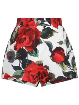 Dolce & Gabbana: Шорты  Rose с принтом