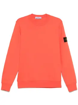 Stone Island: Оранжевый свитшот  Compass