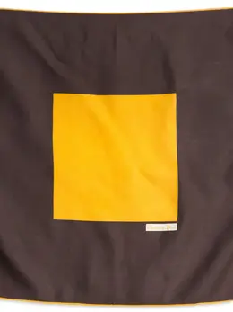 Christian Dior Pre-Owned: Коричневый шарф 