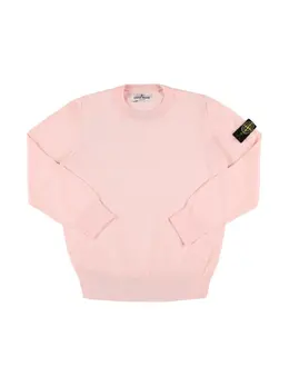 STONE ISLAND JUNIOR: Хлопковый свитшот 