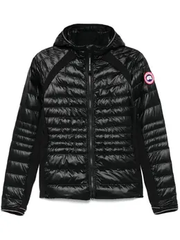 Canada Goose: Чёрная куртка  HyBridge