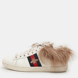 Gucci: Белые кроссовки  Web