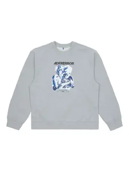 Ader Error: Свитшот с принтом 