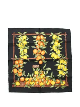 Hermès Pre-Owned: Шарф с принтом 