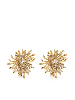Lanvin: Серьги 