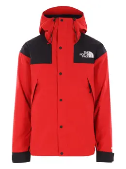 The North Face: Яркая куртка  Mountain