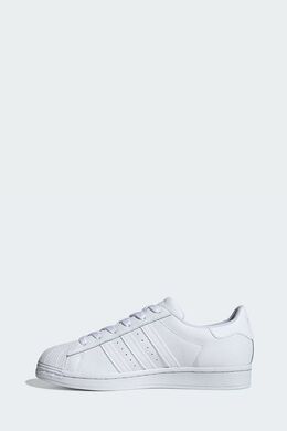 Adidas: Белые кеды  Superstar