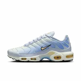 NIKE: Серые кроссовки  Air Max Plus
