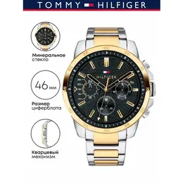 TOMMY HILFIGER: Часы 