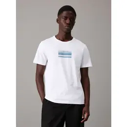 CALVIN KLEIN: Белая футболка 