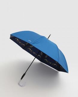 Ferre Milano: Зонт 