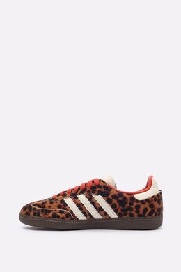 Adidas: Коричневые кроссовки 