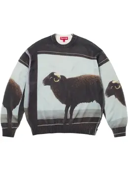 Supreme: Трикотажный свитер 