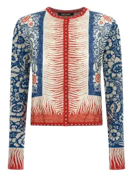 Roberto Cavalli: Свитер с принтом 