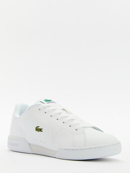 Lacoste: Белые кроссовки 