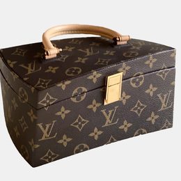 Louis Vuitton: Коричневі сумки 