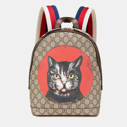 Gucci: Коричневый рюкзак  GG Supreme