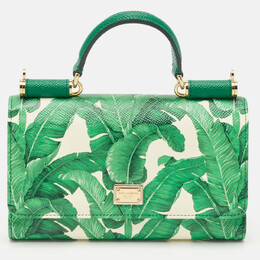 Dolce & Gabbana: Зелёный кошелёк  Sicily