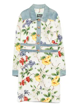 Dolce & Gabbana Pre-Owned: Пальто с растительным принтом 