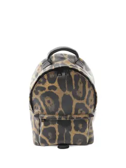 Louis Vuitton Pre-Owned: Коричневый рюкзак 