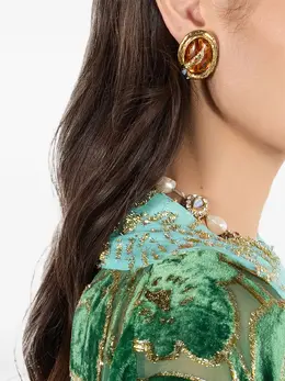 Roberto Cavalli: Серьги 