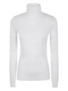 Elisabetta Franchi: Трикотажный свитер 
