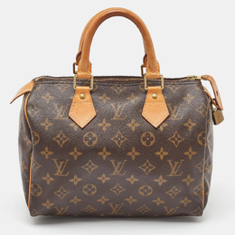 Louis Vuitton: Коричневая сумка  Speedy 25