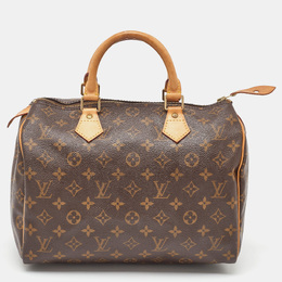 Louis Vuitton: Коричневая сумка  Speedy 30