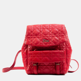 Dior: Красный рюкзак 