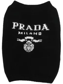 Prada: Трикотажный свитер 