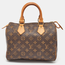 Louis Vuitton: Коричневая сумка  Speedy 25