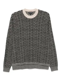 Emporio Armani: Свитер с принтом 