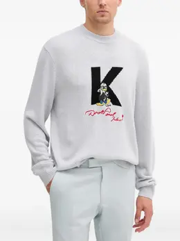Karl Lagerfeld: Свитер с длинным рукавом 