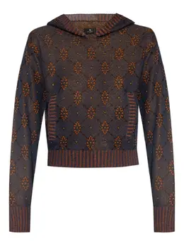 ETRO: Синяя толстовка 
