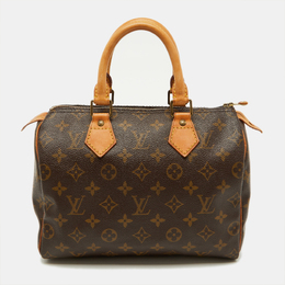 Louis Vuitton: Коричневая сумка  Speedy 25
