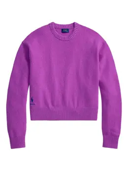 Polo Ralph Lauren: Фиолетовое поло 