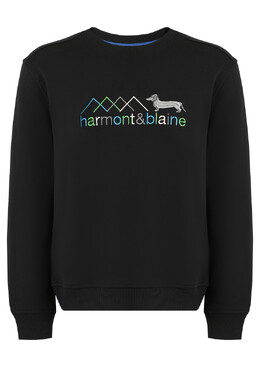 Harmont&Blaine: Трикотажный свитер 